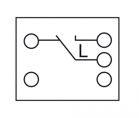 1-pole