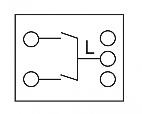 1-pole