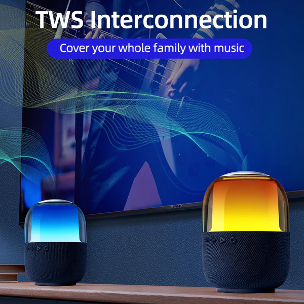 BT/micro SD/FM