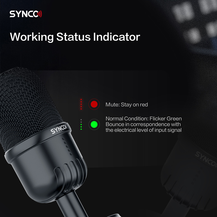 SY-V1M-CMIC-5